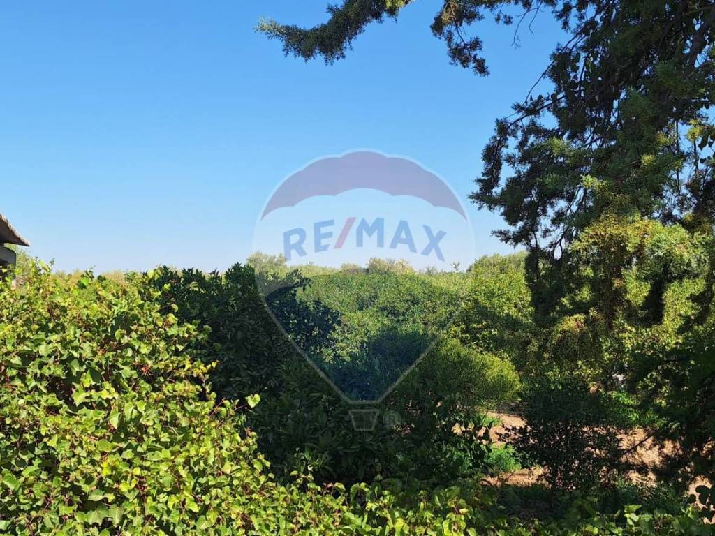 Terreno a Noto in Contrada Gisira - Foto 2