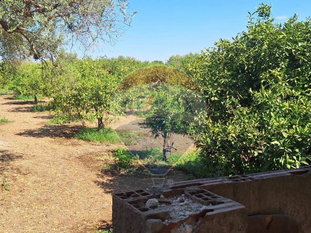 Terreno a Noto in Contrada Gisira - Foto 5