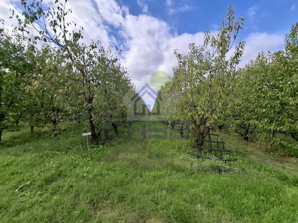 Terreno a Villanova sull'arda in VIA ROMA - Foto 3