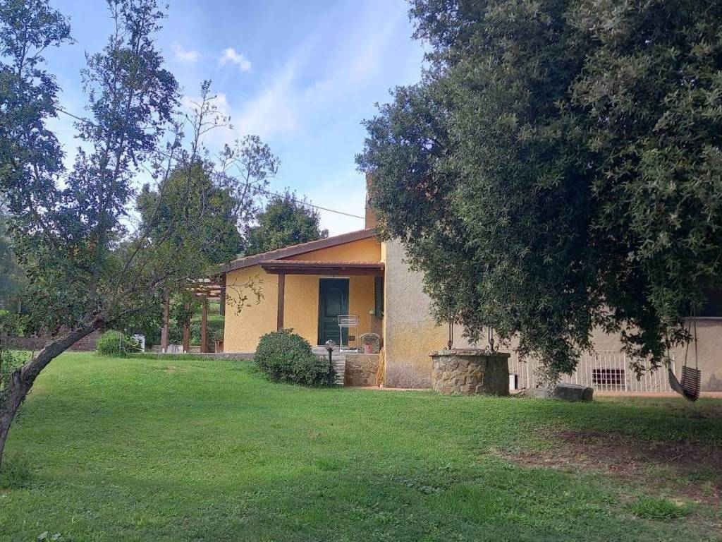 Rustico / casale a Magliano in toscana - Foto 2
