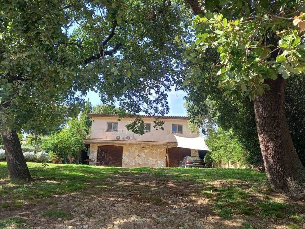 Rustico / casale a Magliano in toscana - Foto 4