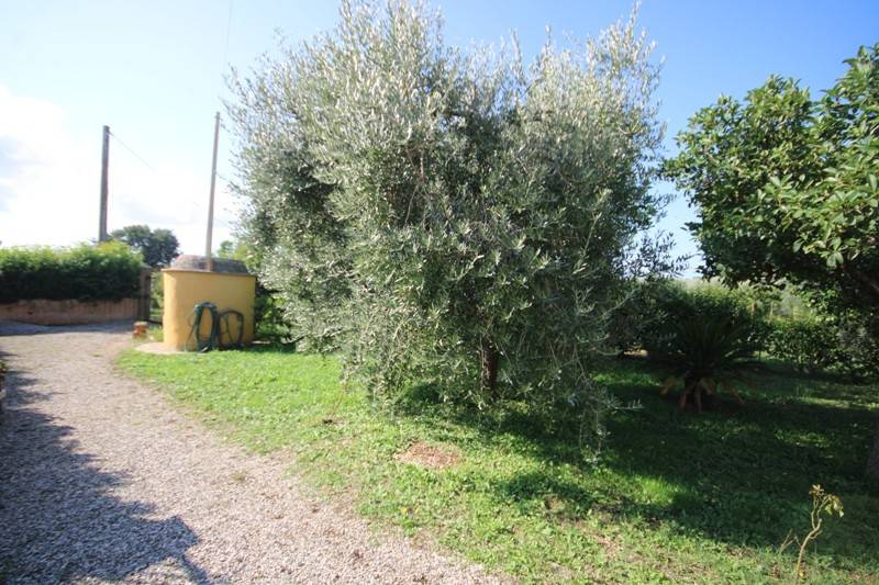 Appartamento a Campiglia marittima in Via Fonda - Foto 4