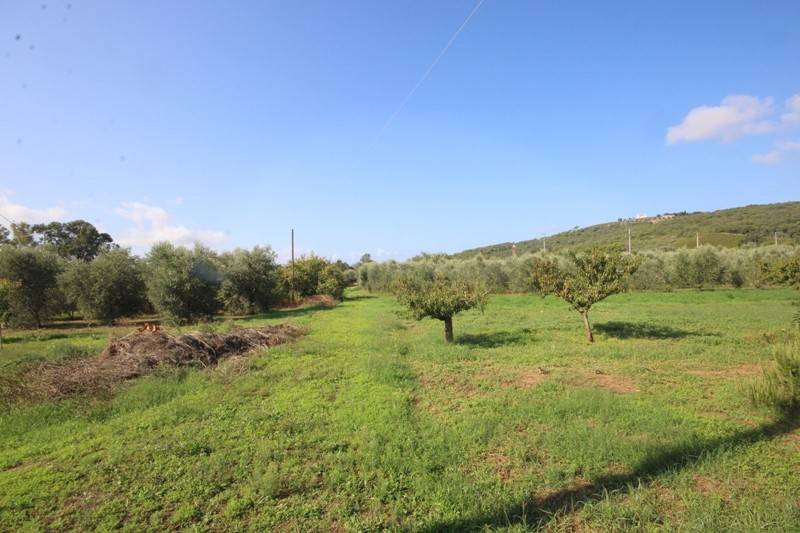 Appartamento a Campiglia marittima in Via Fonda - Foto 5