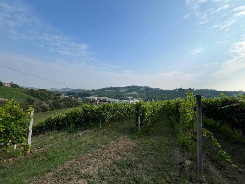 Rustico / casale a Canelli in Regione Secco, 18 - Foto 3