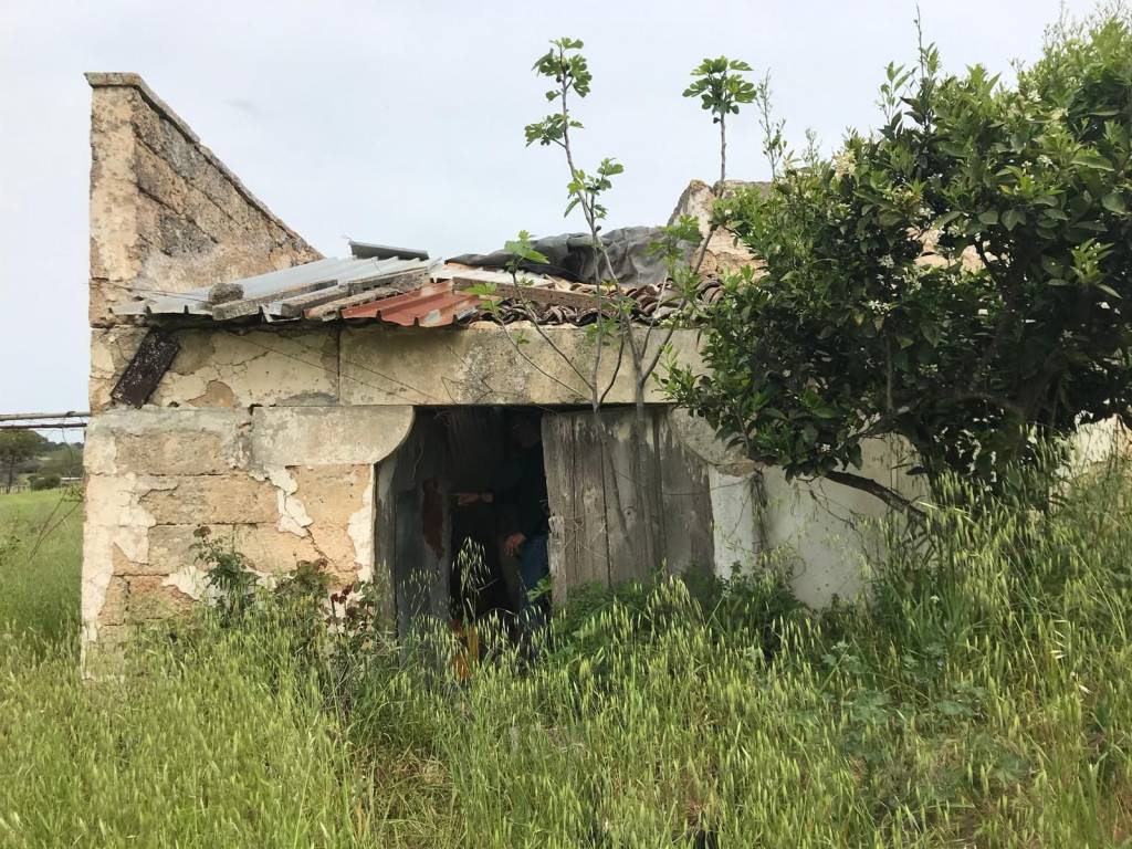 Rustico / casale a Neviano in Strada Vicinale Zamloi - Foto 4