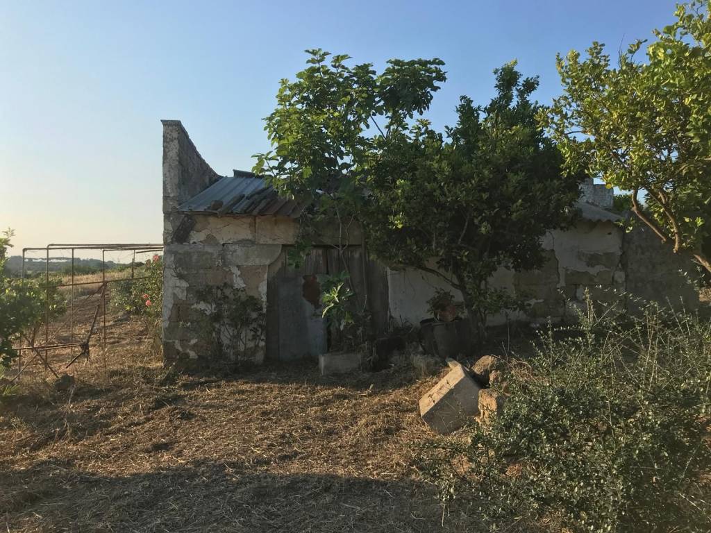 Rustico / casale a Neviano in Strada Vicinale Zamloi - Foto 5