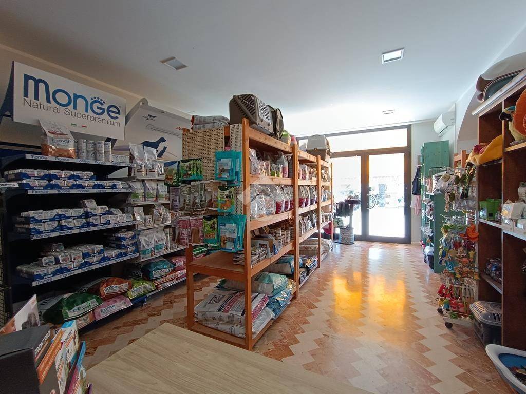 Appartamento a Pineto in Via V. Bellini, 11 - Foto 5