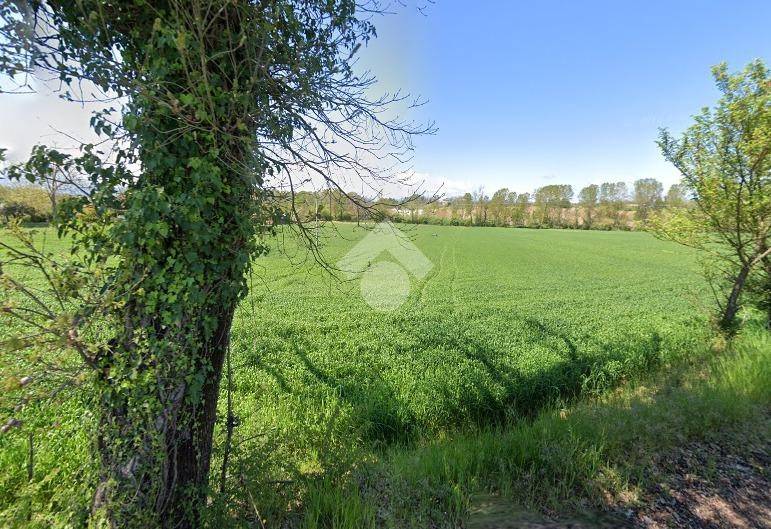 Terreno a Pignataro interamna in Via Selva del Campo - Foto 2