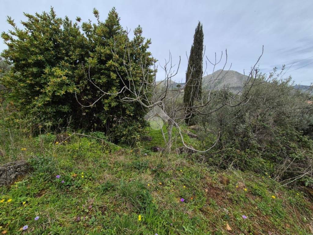 Terreno a Monreale in Via Eva Peron, 15 - Foto 5