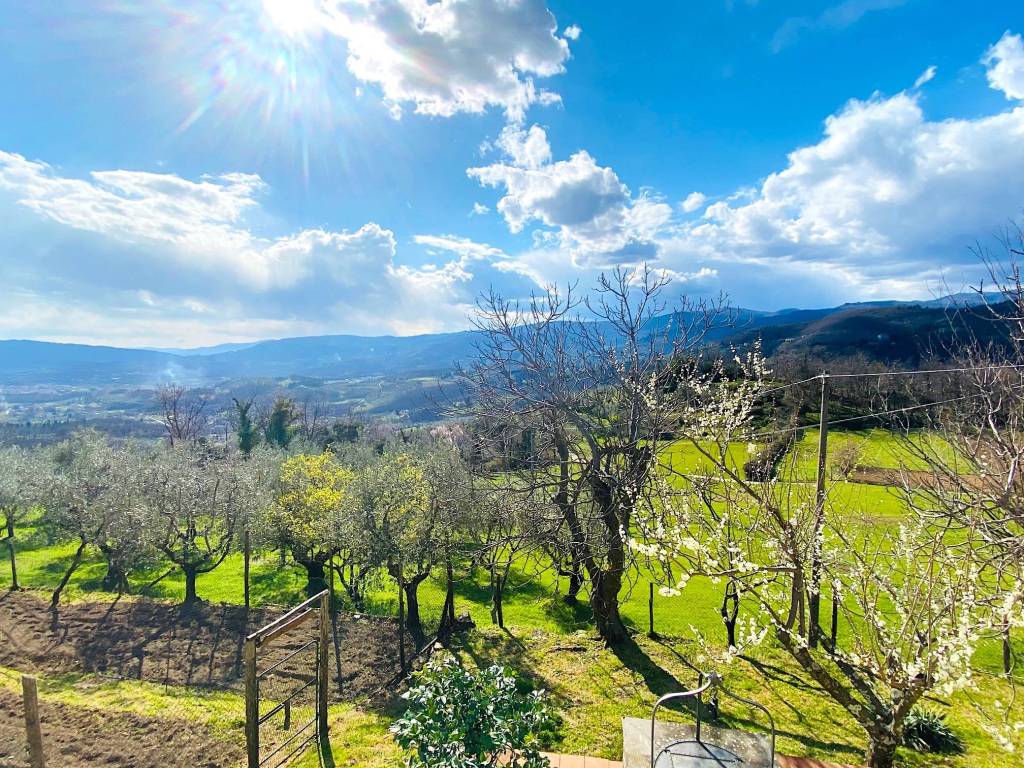 Rustico / casale a Pistoia - Foto 3