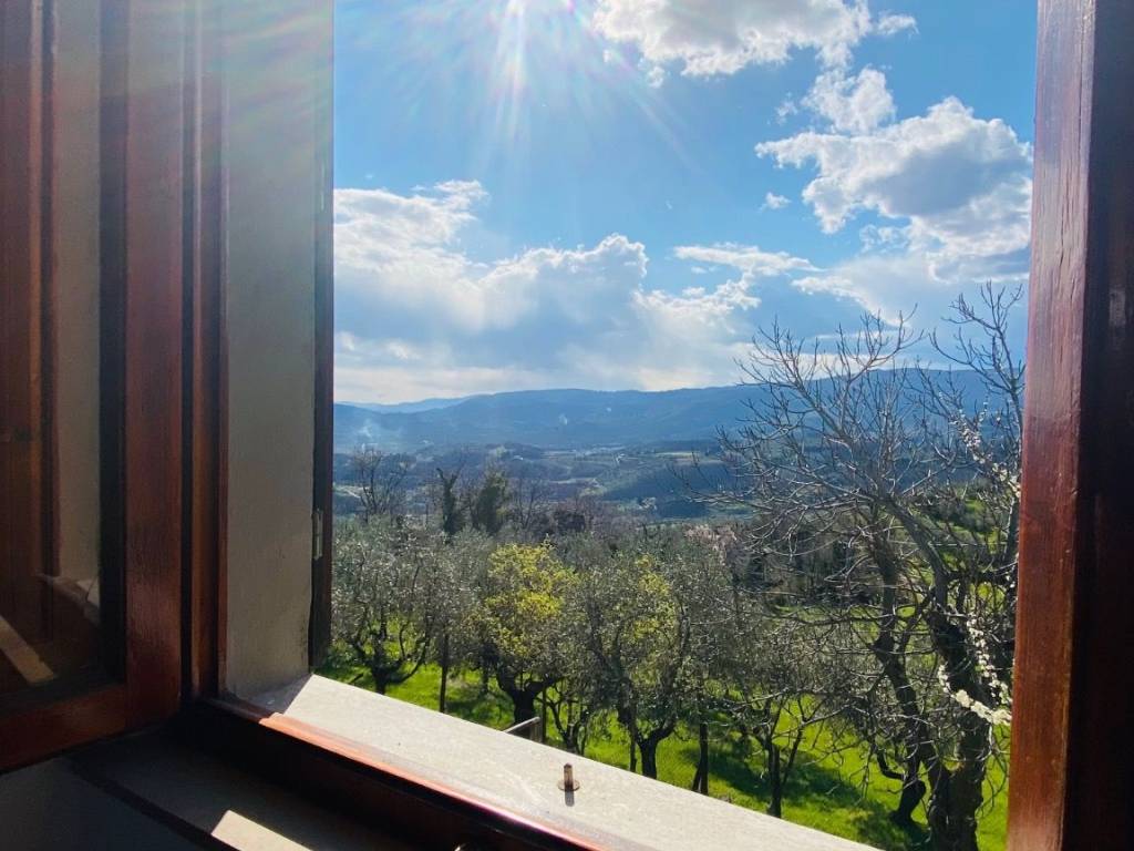 Rustico / casale a Pistoia - Foto 5