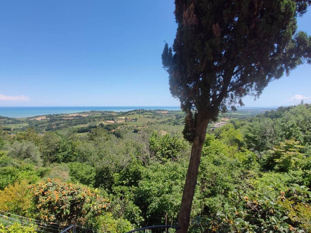 Casa indipendente a Pesaro in Via del Risorgimento, 5 - Foto 2