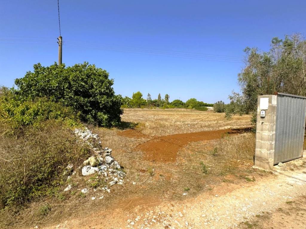 Terreno a Tricase in Strada Vicinale Posti - Foto 2