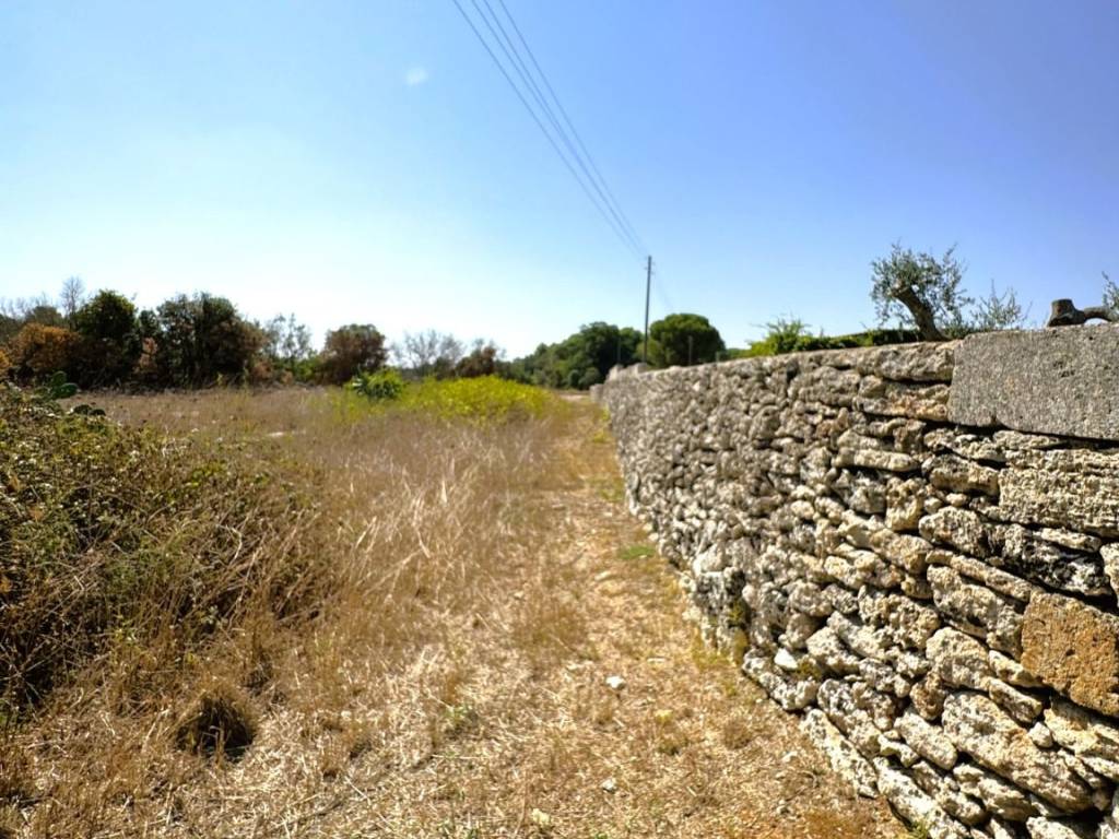 Terreno a Tricase in Strada Vicinale Posti - Foto 3