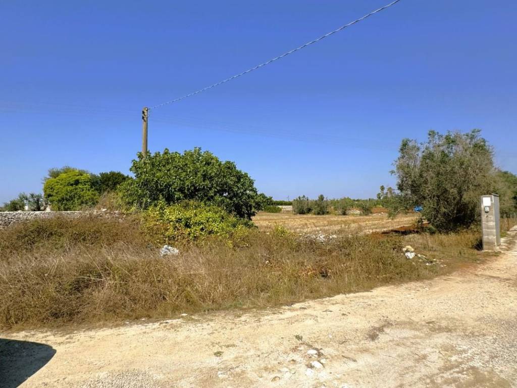 Terreno a Tricase in Strada Vicinale Posti - Foto 5