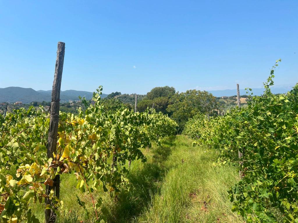 Rustico / casale a Caiazzo in Via Pontiele - Foto 3