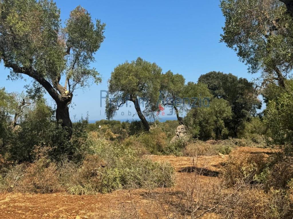 Terreno a Carovigno - Foto 3