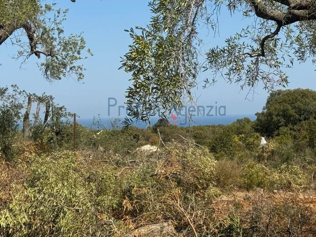Terreno a Carovigno - Foto 4