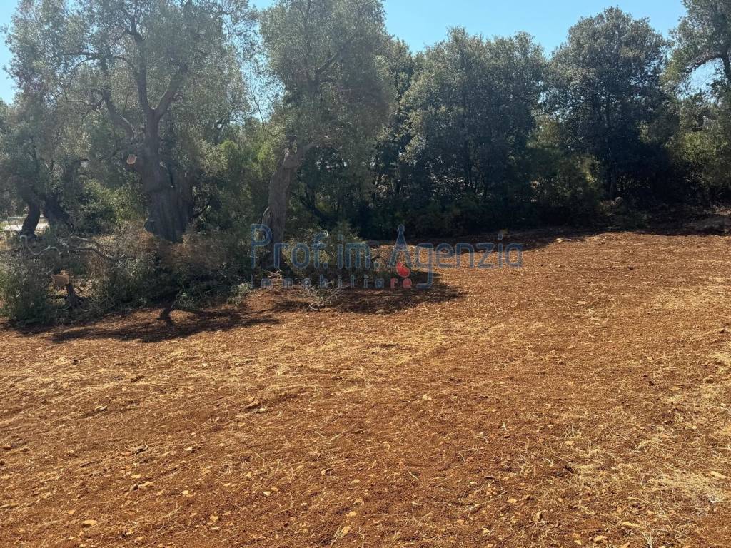 Terreno a Carovigno - Foto 5