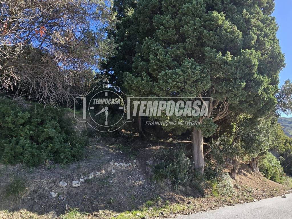 Rustico / casale a Messina in Via nazionale gesso 1/pinnari - Foto 2