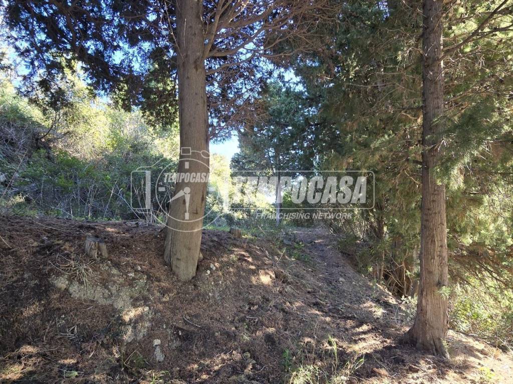 Rustico / casale a Messina in Via nazionale gesso 1/pinnari - Foto 3