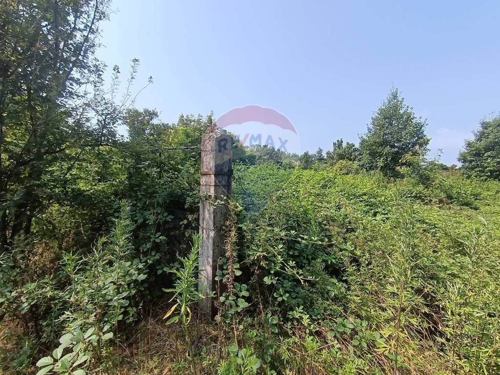 Terreno a Castelletto cervo in via per cossato, 1 - Foto 3