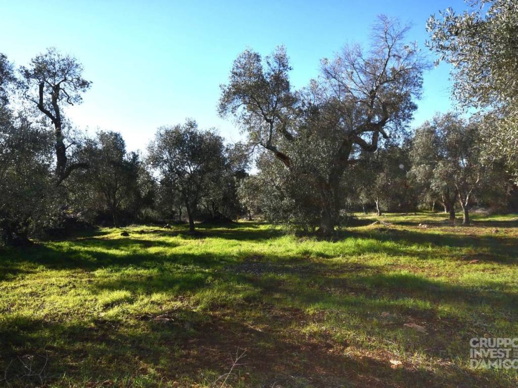 Rustico / casale a Ceglie messapica in Contrada Carbone, Ceglie Messapica - Foto 2