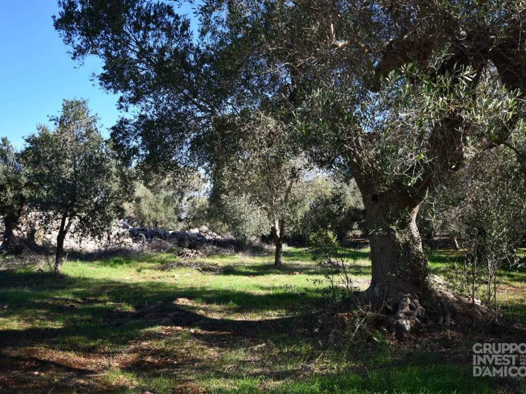 Rustico / casale a Ceglie messapica in Contrada Carbone, Ceglie Messapica - Foto 4