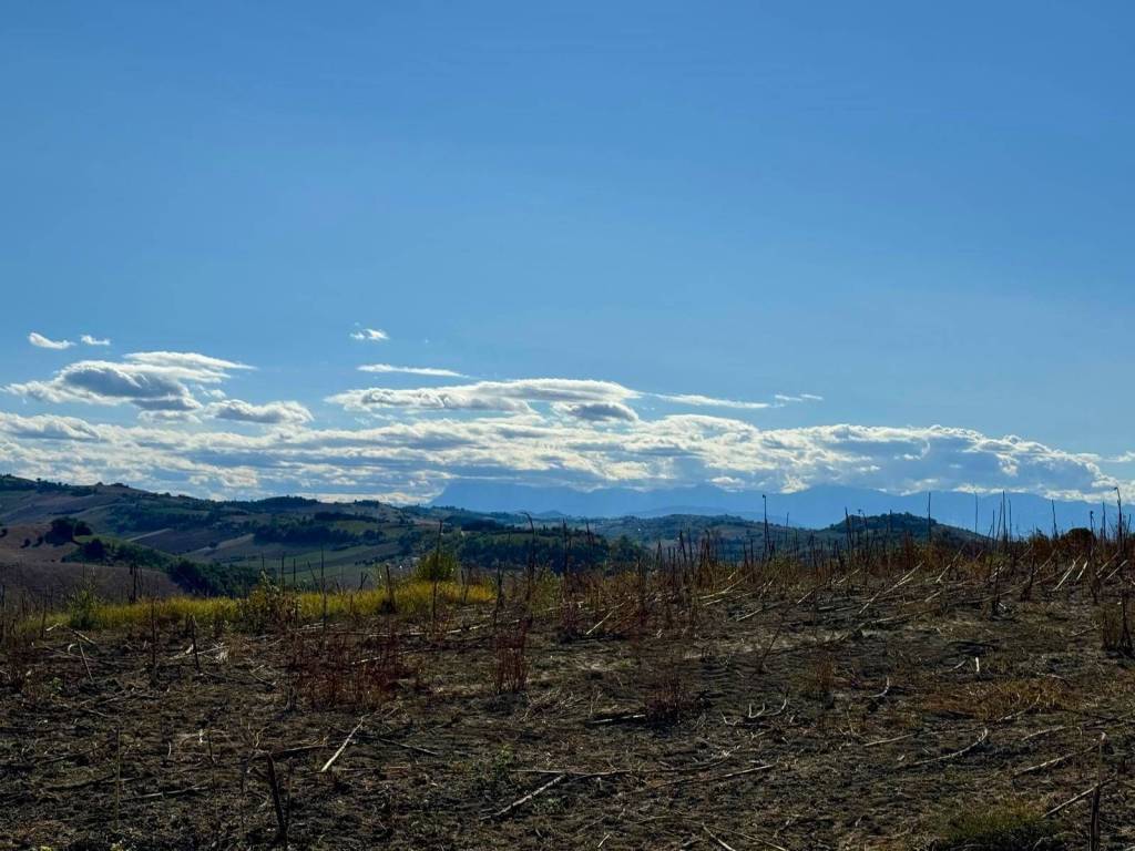 Rustico / casale a Fermo - Foto 4