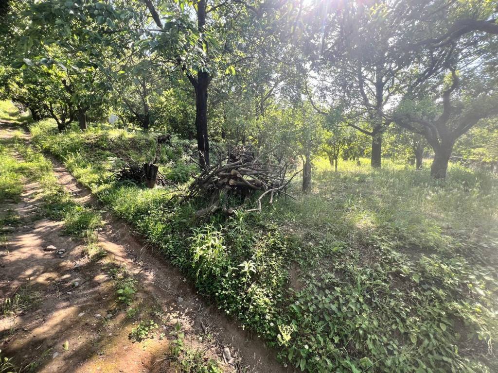 Terreno a Nocera superiore in Via Pucciano, 20 - Foto 5