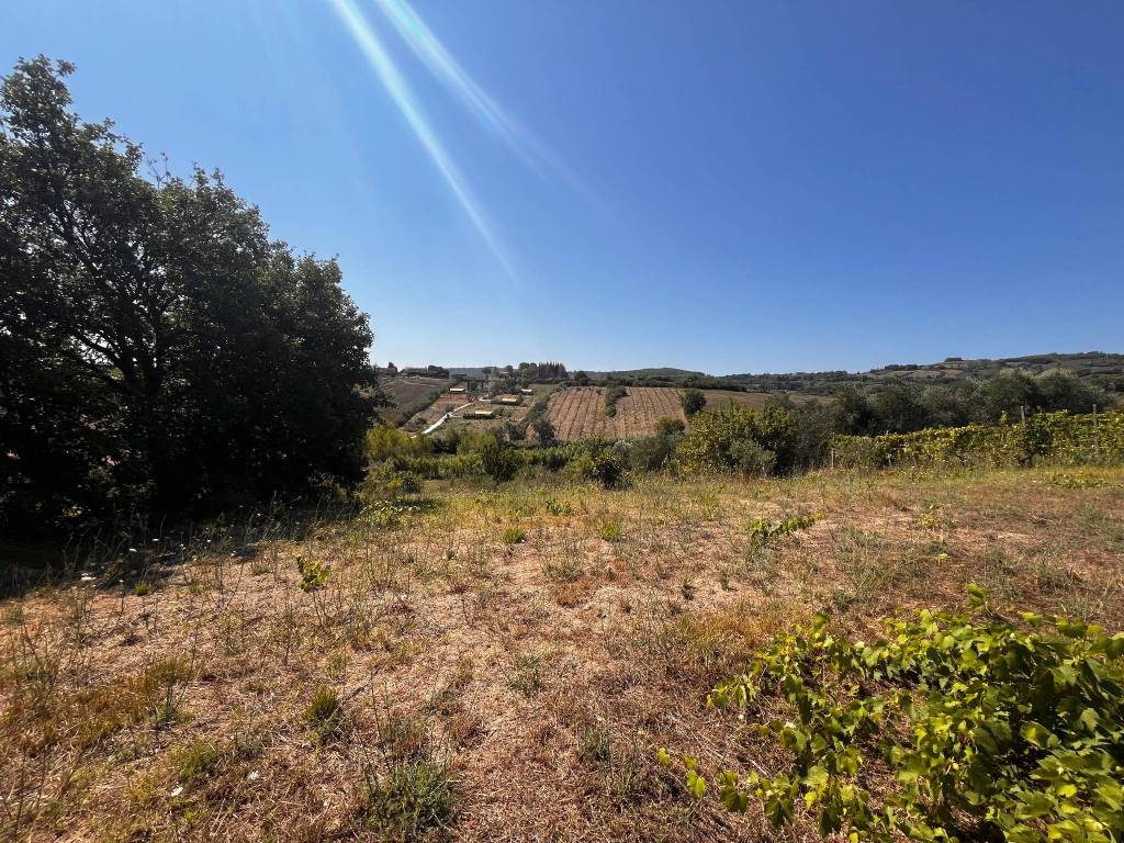 Terreno a Rosignano marittimo in Località S. Pierino, - Foto 2