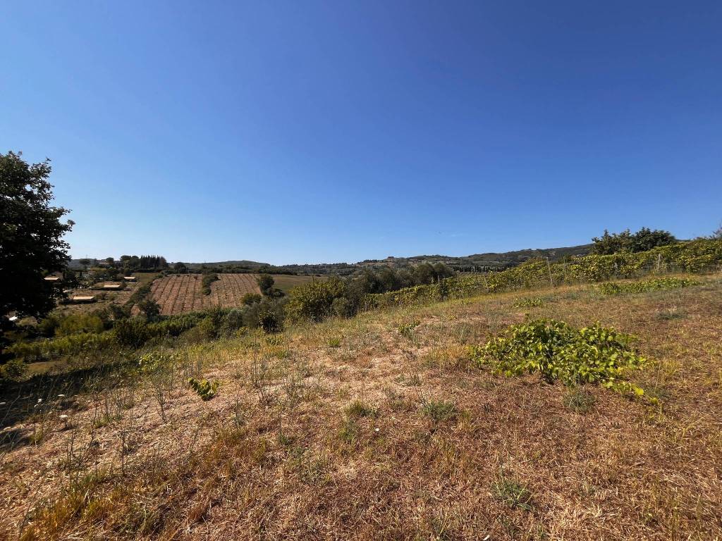 Terreno a Rosignano marittimo in Località S. Pierino, - Foto 4