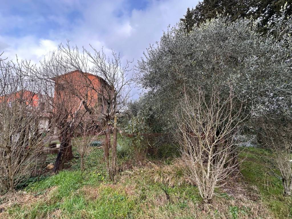 Rustico / casale a Arezzo - Foto 4