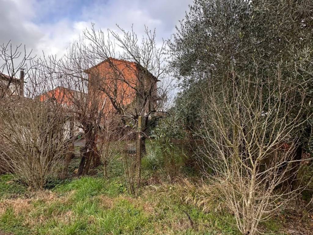 Rustico / casale a Arezzo - Foto 5