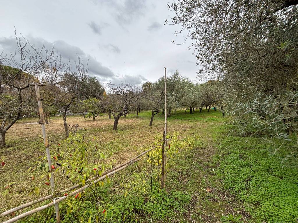 Terreno a Giffoni valle piana in Via Colle della Maddalena - Foto 5