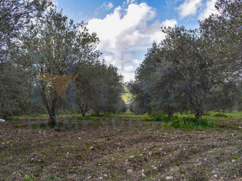 Rustico / casale a Palazzolo acreide in SP23 - Foto 4