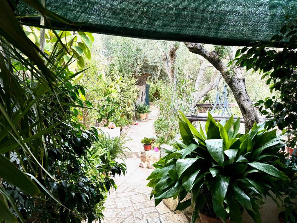 Rustico / casale a Monte argentario in Via dell'Appetito - Foto 3