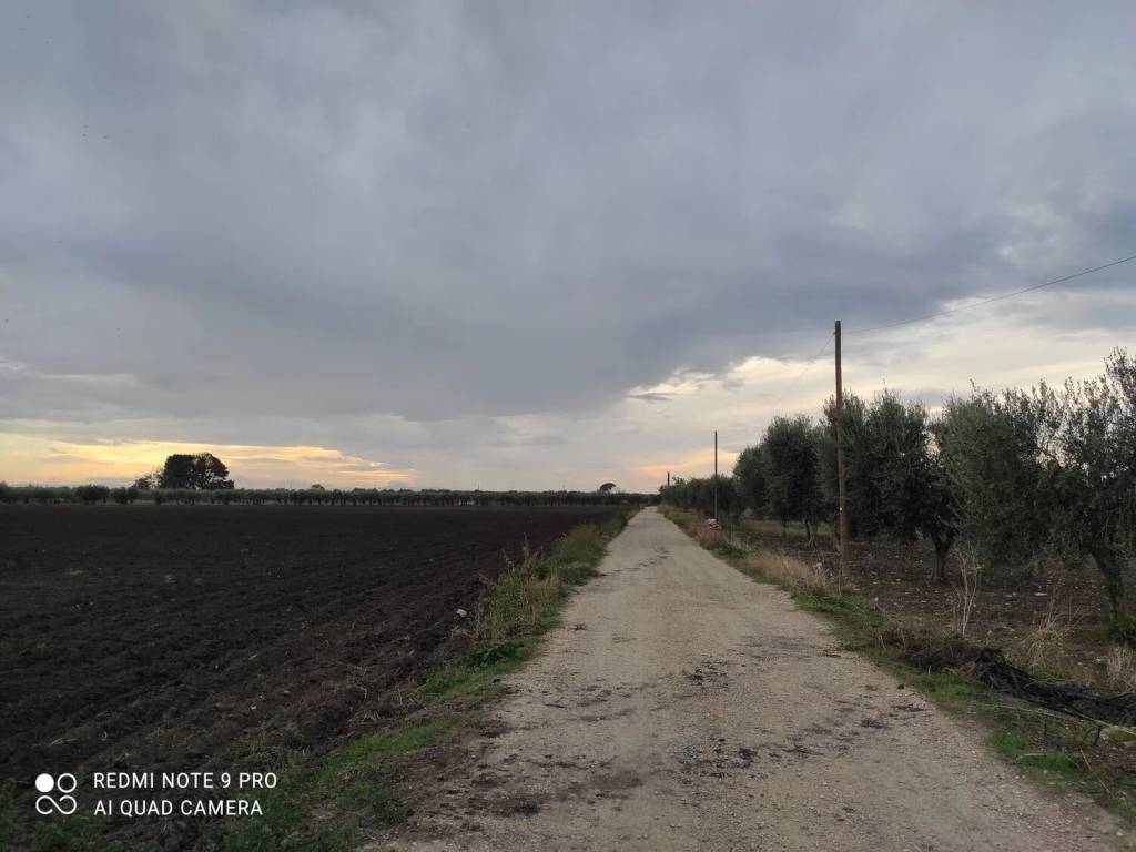 Terreno a San severo in Area Residenziale San Matteo San Severo - Foto 3