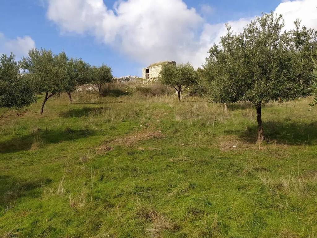 Terreno a San marco in lamis in Contrada Coppa Casarinelli, 1 - Foto 2
