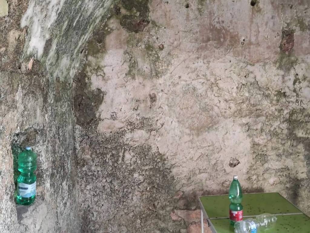 Terreno a San marco in lamis in Contrada Coppa Casarinelli, 1 - Foto 4