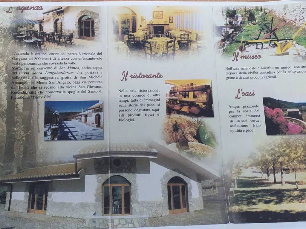 Rustico / casale a San marco in lamis in Contrada Difesa San Matteo - Foto 3