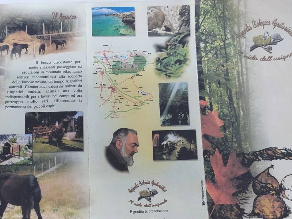 Rustico / casale a San marco in lamis in Contrada Difesa San Matteo - Foto 4