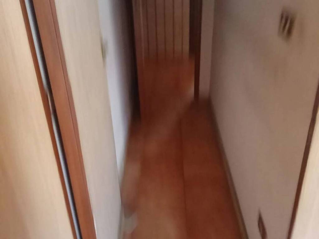 Appartamento a San marco in lamis in Via San Severo, 3 - Foto 5
