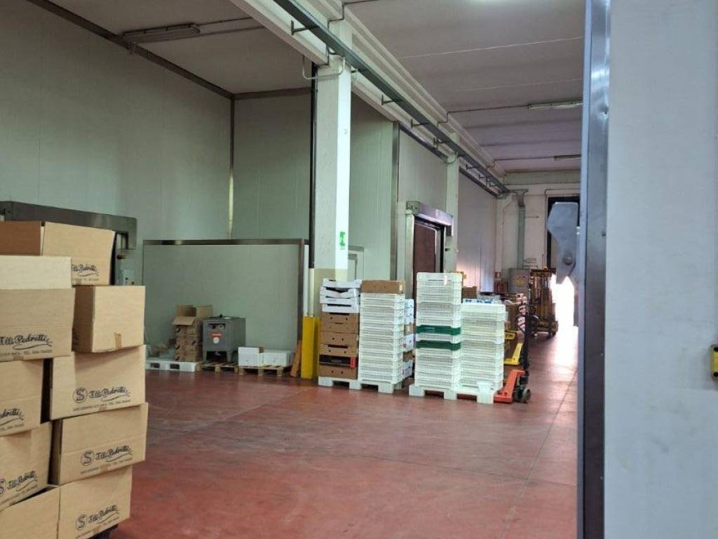 Immobile a San cesario sul panaro in Via per Spilamberto - Foto 3