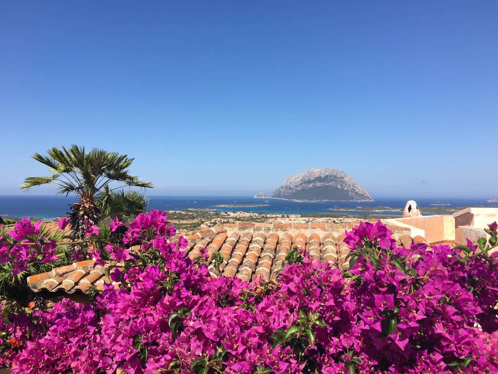 Villa a Loiri porto san paolo - Foto 2