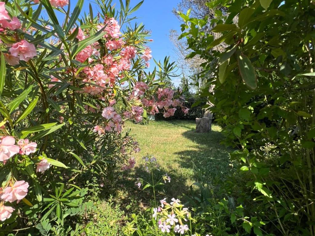 Villa a Olgiate comasco in Via Monte Oliveto, 2 - Foto 4