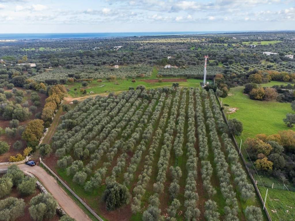 Terreno a Carovigno in Via Specchia - Foto 3