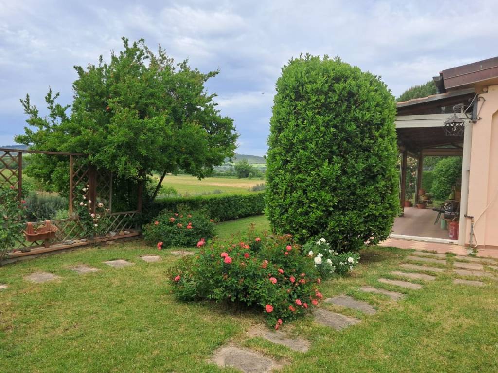 Villa a Campagnatico in Località Pianetto - Foto 2