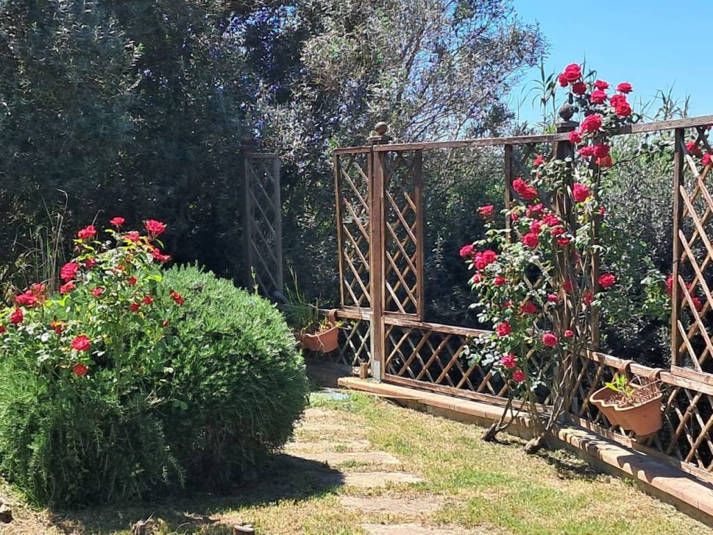 Villa a Campagnatico in Località Pianetto - Foto 3