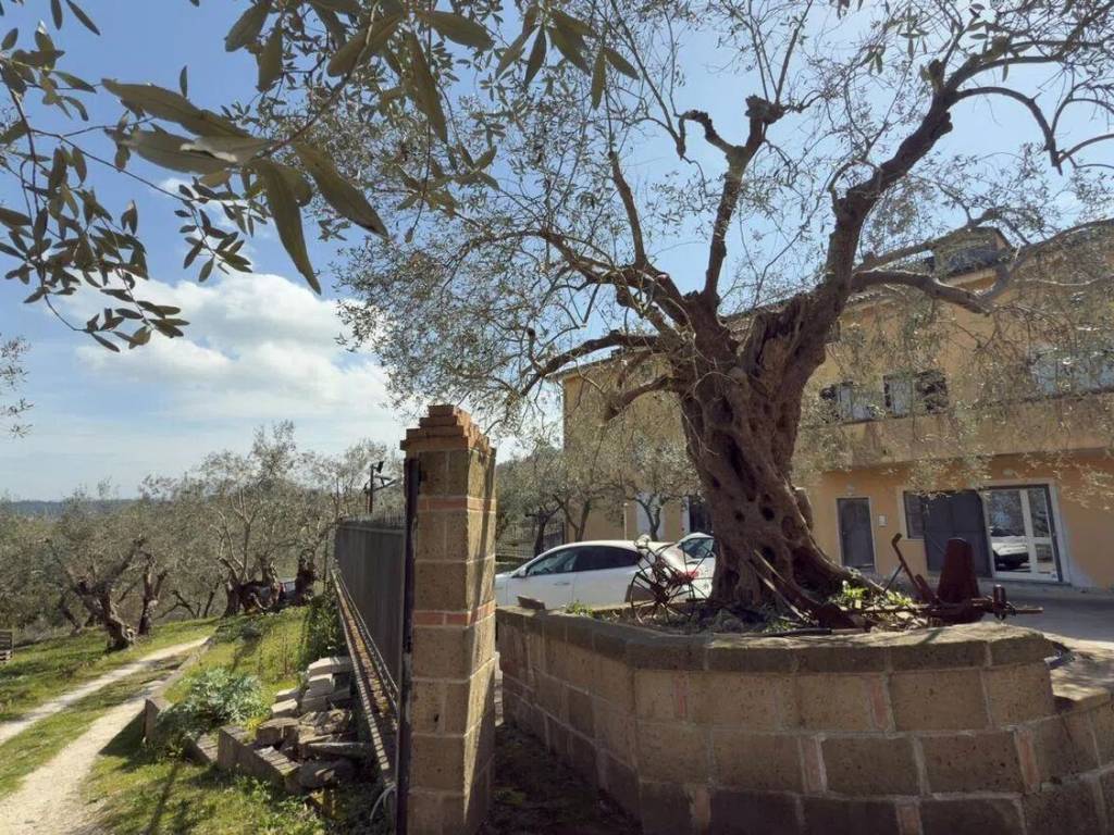 Villa a Caiazzo in Sp198, 2 - Foto 5